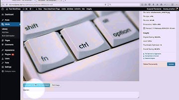 Imagify WordPress Plugin : Preview Mode [FR]