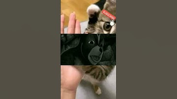 Lucu Ibu Opet Bicara 🤣PasisiGor Pasipada #memes #shorts #upinipin