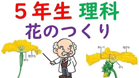 ふしぎワールド