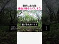 散歩に出た猫 最後は煽られてしまうww