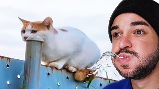 Tente Não Rir Com Água Na Boca Versão 2025