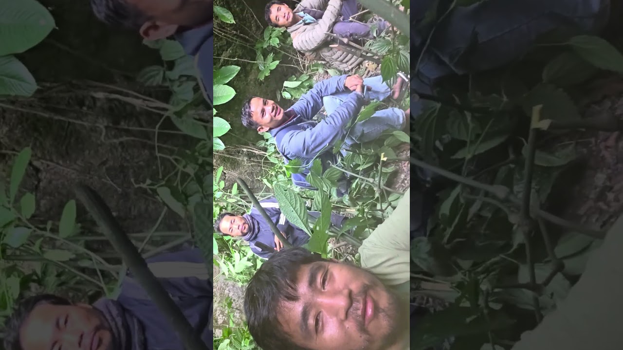 visiting the bat house at jungle