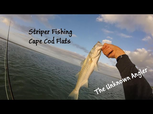 Striper fishing Cape Cod Flats 