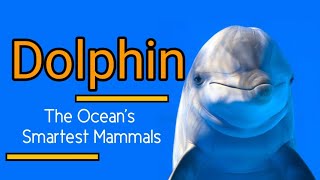 "Dolphins: The Ocean's Smartest Mammals"