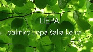 Video thumbnail of "PALINKO LIEPA ŠALIA KELIO - Liepa. Lietuviška Daina su Žodžiais"