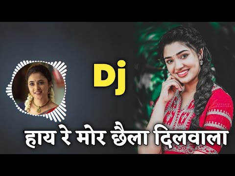 Hay Re Mor Chhaila Dilwala Cg Song Dj   Champa Nishad   Dj Dinesh Chisda