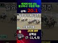 (환수킹=강타쌤) 에게게 이런 것도 광고하냐! 꾸준한 적중! 삼복승 32.1 배 적중 - 삼복승 20.1 배 소중한 적중