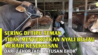 SUCCESSFUL CATTLE FARMING FROM 2 TO HUNDREDS OF CATTLE AND BECOME VILLAGE HEAD | STORY OF A SUCCE...