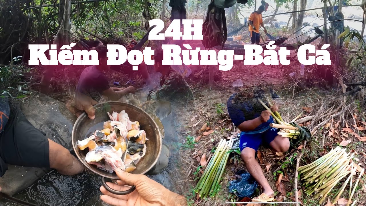 24H Tìm Đọt Rừng- Bắt cá sông