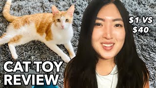 Honest Cat Toy Review From Amazon $1 Toy Vs. $40 Toy