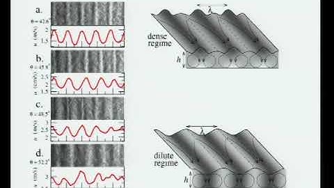 Multiple Speakers | Lateral instability of dense granular flows on a rough incline