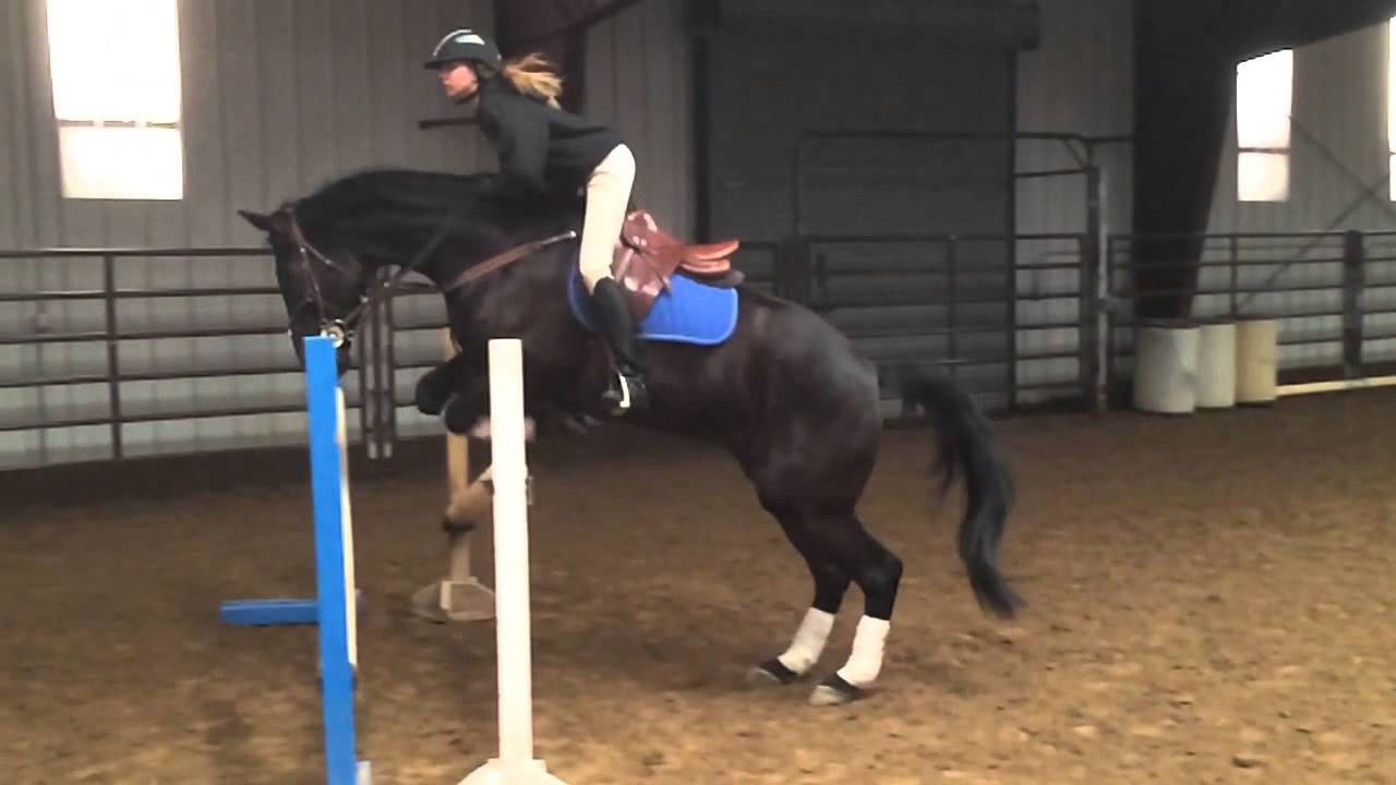 Titans Adonis slowmo Swedish Oxer YouTube