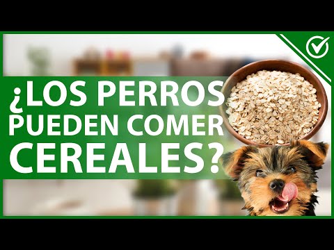 Video: ¿Puedes darle granola a un perro?