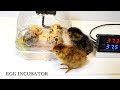 Water bottle Egg incubator  #1 (페트병으로 부화기 만들기)