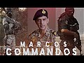 Marcos commandos status  marcos commandos attitude status  marcos commandos sigma rulemarcos