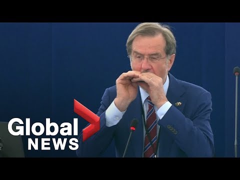 Notre Dame Honoured With Harmonica Tribute In EU Parliament