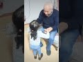 ايه يابابا ده يا اخونا وصاحبنا ايه يابابا ده يا اخونا وصاحبنا