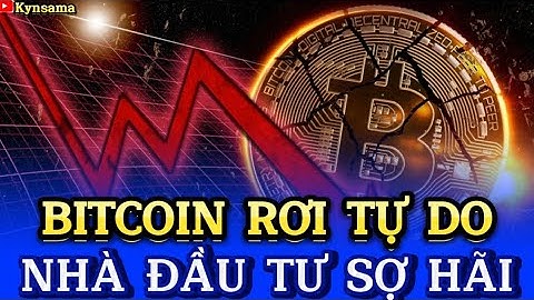 BITCOIN RƠI TỰ DO, NHÀ ĐẦU TƯ SỢ HÃI | Kynsama