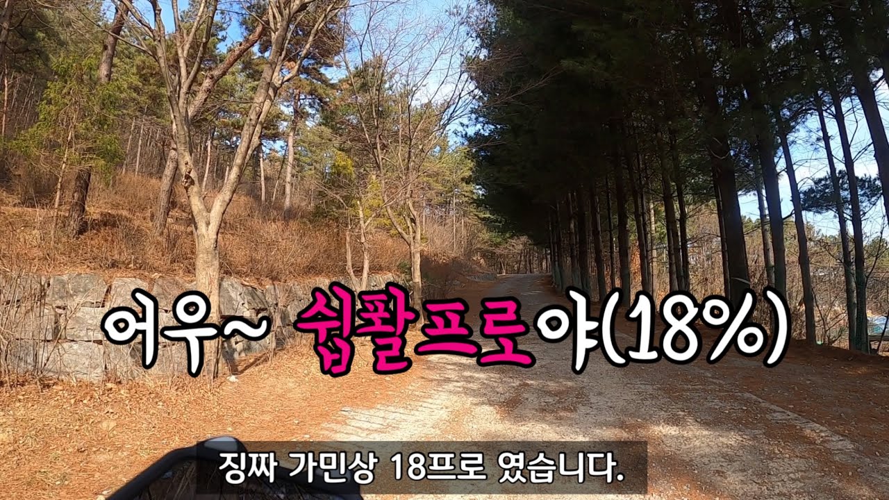 대정임도 체험기 / 엠티비 타고 임도가자 / 로드즘마 엠즘마되다 / 아오 빡쎄 / 엠린이 / 대정임도 / 대전임도 / 대전엠티비코스 / 대전mtb코스