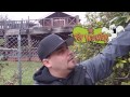 Camping In Santa Cruz &amp; The Mystery Spot 1.21.17