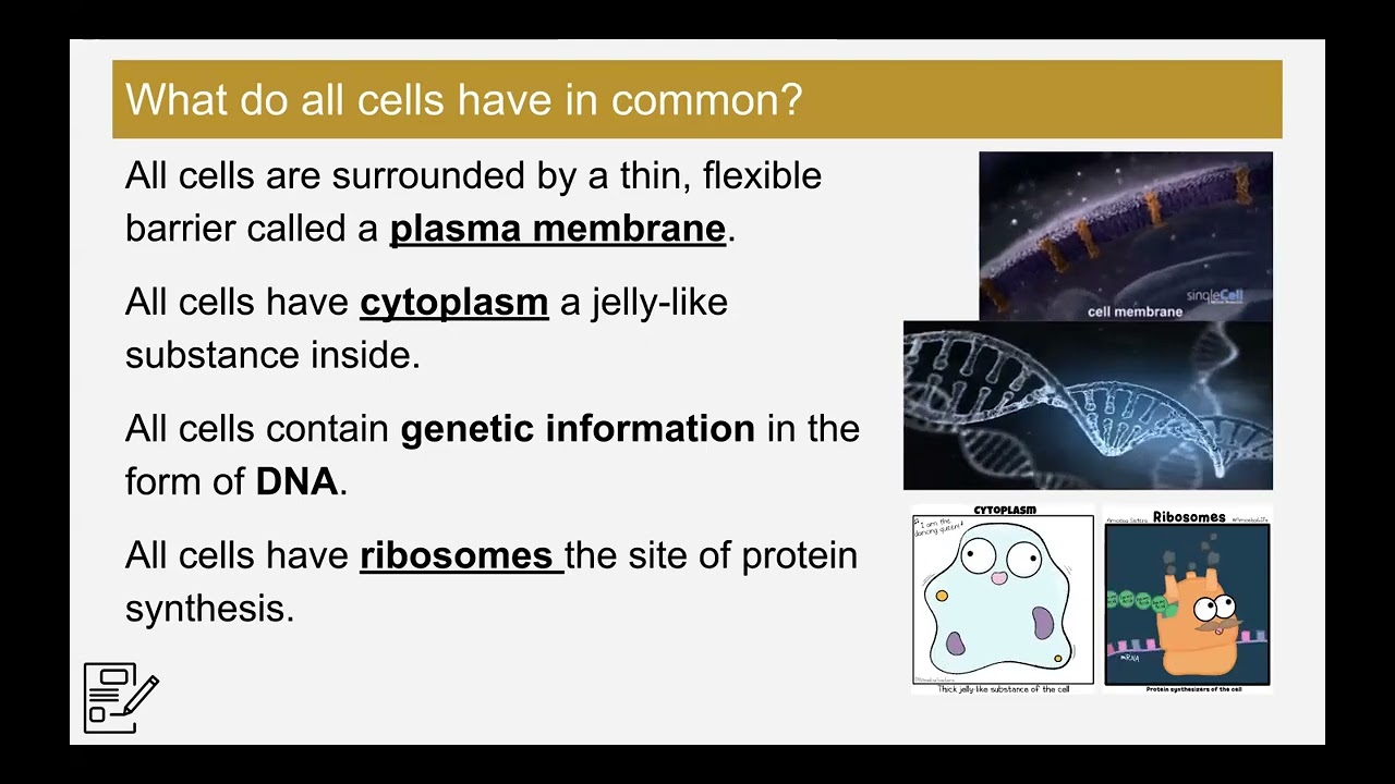 Cells 101