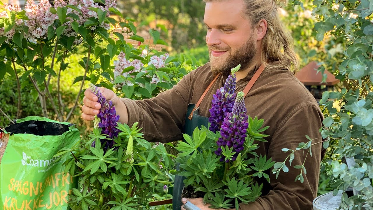 Krukker i haven skaber stemning - Kom med i Mathias' kolonihave