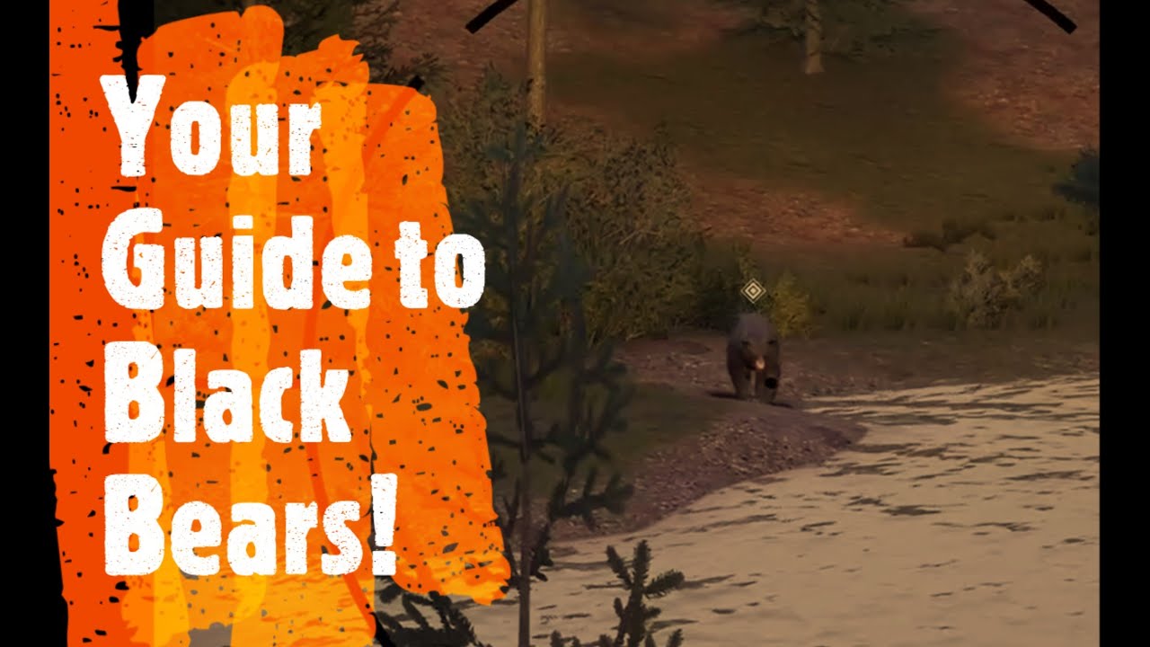 hunting simulator 2 tips hunting simulator 2 tips