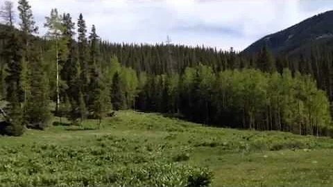 Middle Fork Trail, Rio Santa Barbara, in the Pecos...