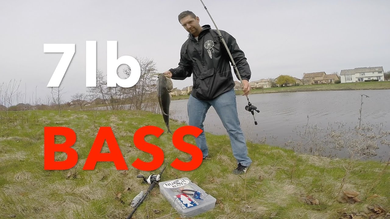 BIG SWIMBAITS FOR BIG BASS!!!