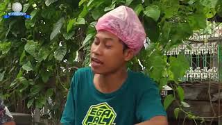 Kumpulan kata kata bija 《ega alfaris》 jomblo wajib nonton