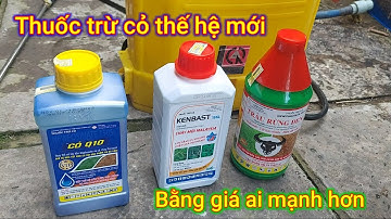 Phun xịt thuốc trừ cỏ khai hoang thế hệ mới Q10 Trâu Rừng Đen và Kenbast xem loại nào hiệu quả