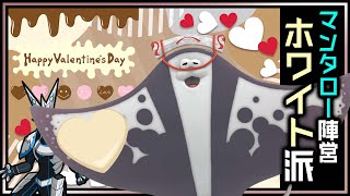 【参加型・スプラトゥーン3フェス | Day249】食べ過ぎると喉が辛くなるかもしれない『ホワイトチョコ派』のSplatoon3フェスマッチ #VTuber