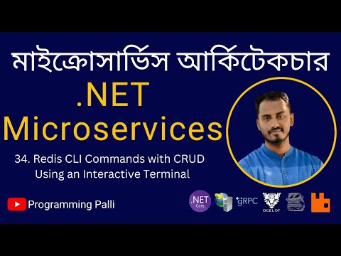 34. Redis CLI Commands with CRUD:  Using an Interactive Terminal for Connection and Data Operations