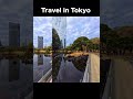 Tokyo Travel Guide — Exploring a Beautiful Garden #travel #japan #sightseeing