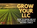 How to grow an llc for music artists  record labels