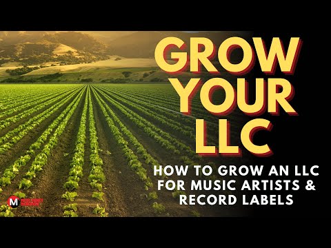 How to Grow an LLC for Music Artists & Record Labels