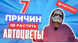 7 ПРИЧИН НЕ РАСТИТЬ АВТОЦВЕТЫ