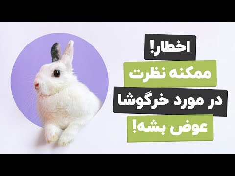 تصویری: ظرافت ها و ظرافت ها هنگام انتخاب خرگوش