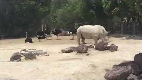 Turismo de naturaleza Puebla