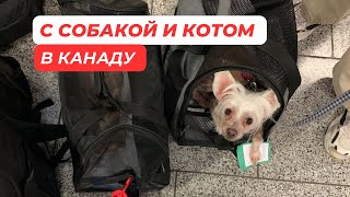 ПЕРЕЕЗД В КАНАДУ С ДОМАШНИМИ ЖИВОТНЫМИ