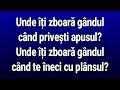 Liviu Teodorescu - Unde Iti Zboara Gandul? (Versuri/Lyrics)