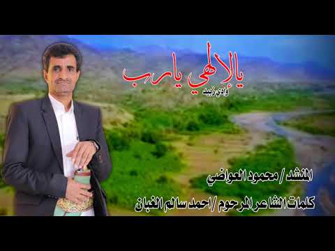 المنشد محمود العواضي ياشريكي محجور وادي زبيد 