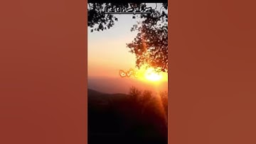 القارئ يوسف العيدروس