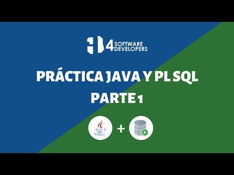 Práctica PLSQL y