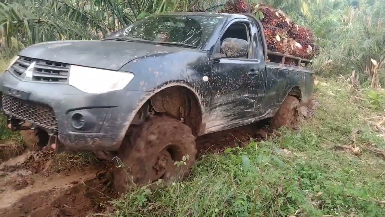 Strada Triton langsir sawit bareng hardtop#4x4offroad #extreme #offroad #toyotahardtop #hardtop
