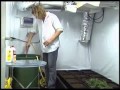 大麻 室内栽培 部屋に改造