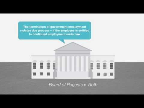 Verwaltungsrecht Tutorial: Due Process in Agentur Adjudication | quimbee.com
