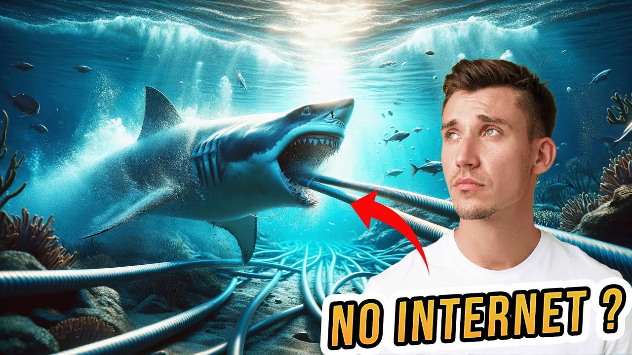 How Undersea Cables For Internet Laid And Repair Cross Continent | Undersea Cable Installation