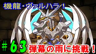 【パズドラ】機動!機龍ヴァルハラ 弾幕の雨に挑戦!【パズドラ動画第63回目】 【パズドラ】機動!機龍ヴァルハラ 弾幕の雨に挑戦!【パズドラ動画第63回目】