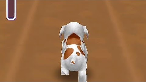 Dog run - puppy running game | gameplay for android and iOS | puppy racing gameplay